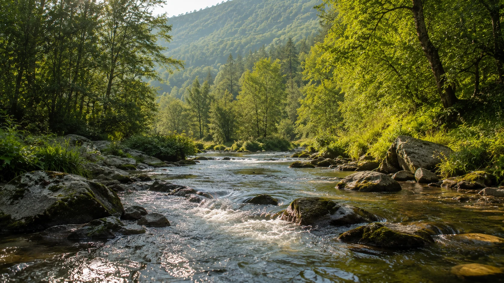 Calme en pleine nature, respiration apaisée