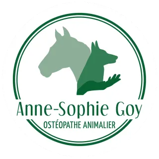 Anne-Sophie Goy — ostéopathe animalier à Strasbourg