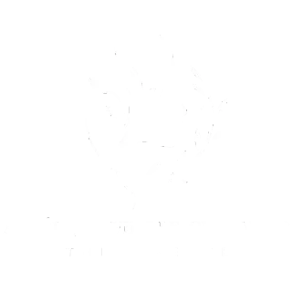 Angélique Vieille-Chevalier — hypnothérapeute à Bordeaux