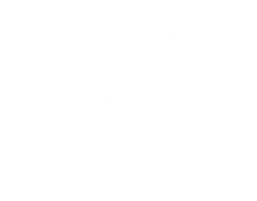 Angélique Vieille-Chevalier