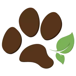 Valentina Marti — naturopathe animale à Nice