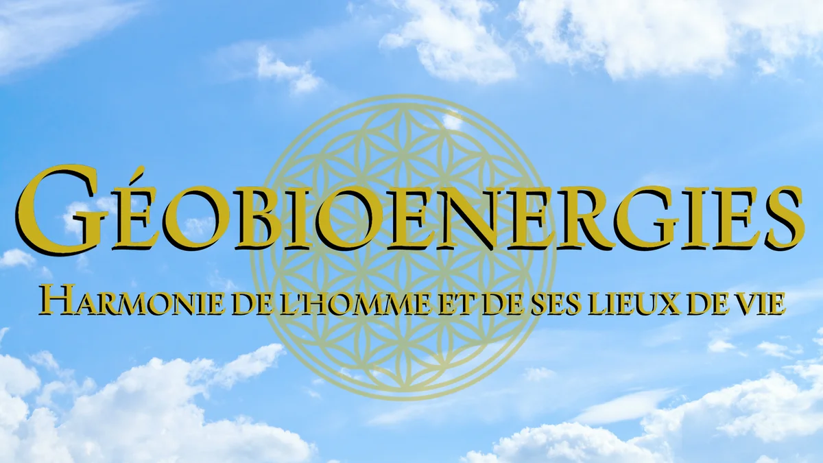 Magnétiseur et Géobiologue en Bretagne - Géobiologue à Melrand