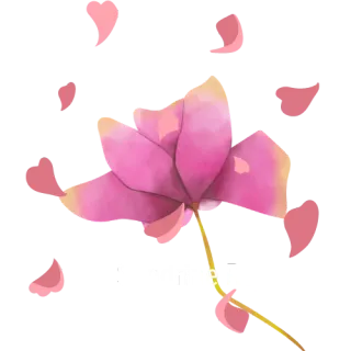 Sandrine Rey - Naturopathe à Aix En Provence