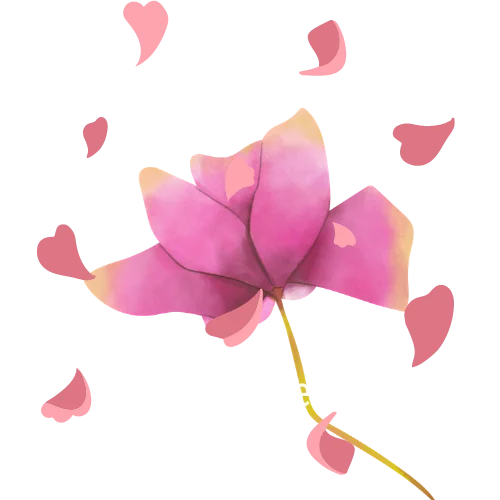 Sandrine Rey - Naturopathe à Aix-en-Provence