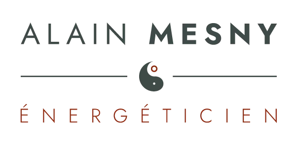 Alain Mesny – Énergéticien à Allouis