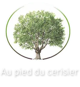 Nadine Karp - Professeure de yoga à Châlons-en-Champagne