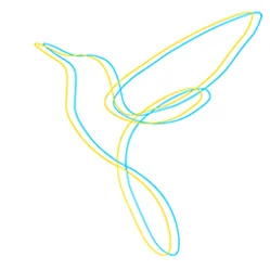 Céline Trachsel - Kinésiologue à Quimperlé