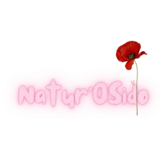 Sidonie Guenzi - Naturopathe à Dun-le-Palestel