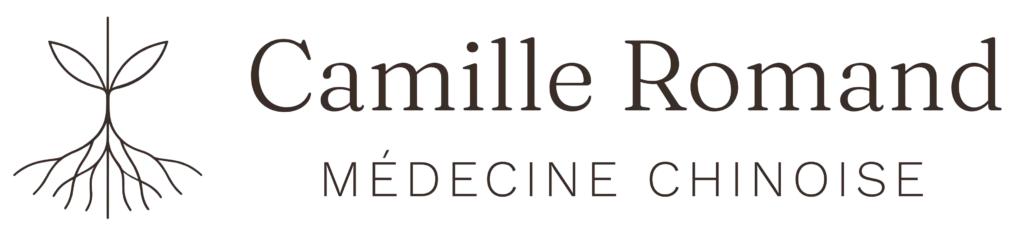 Camille Romand – Médecine Traditionnelle Chinoise à Charvonnex