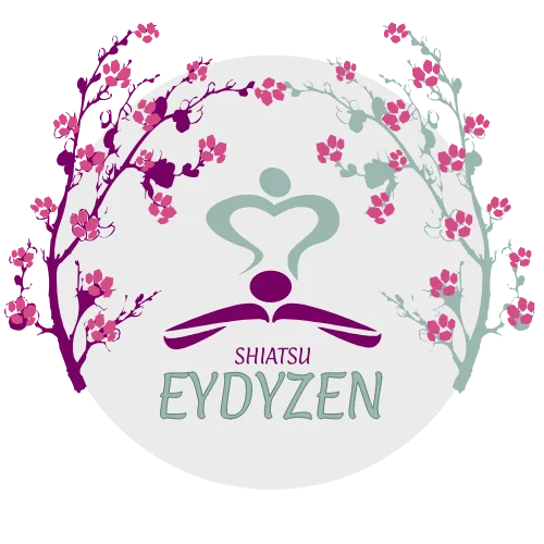 Massage bien-être shiatsu Pour toute la famille !!! - Praticien en shiatsu à Brebotte