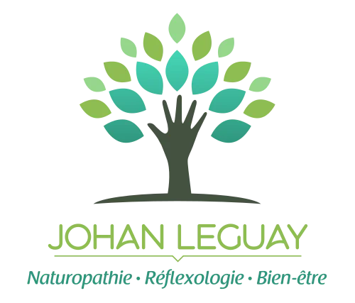 Johan Leguay