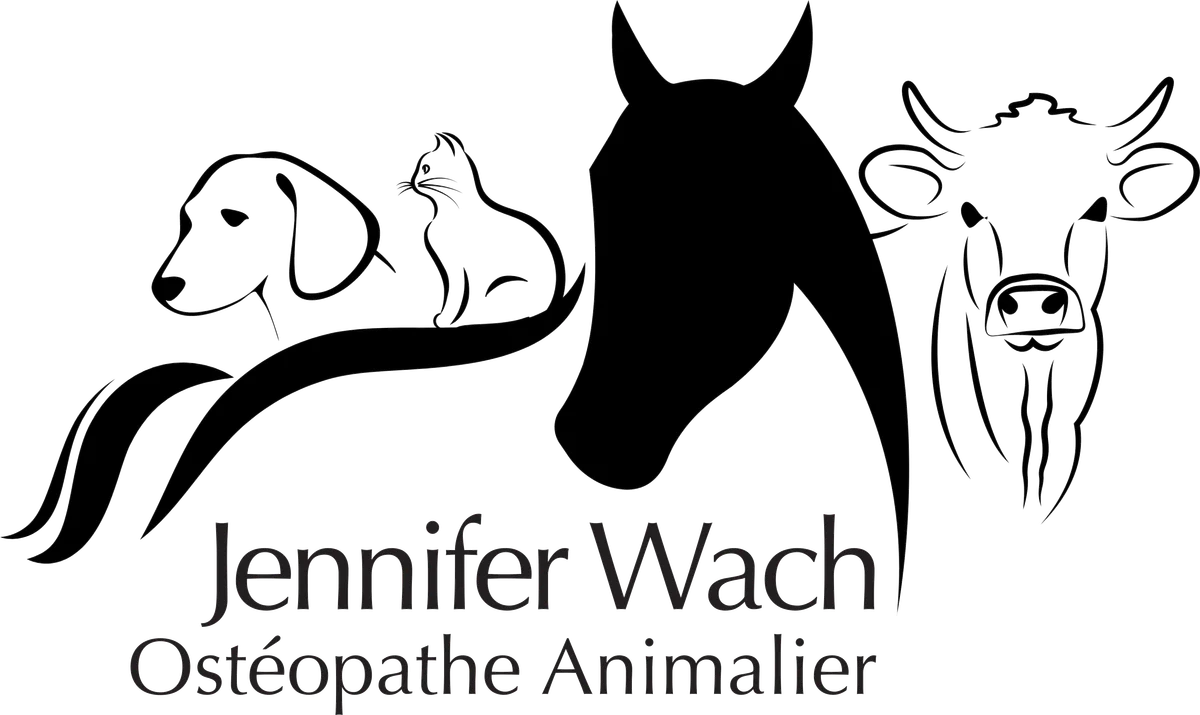 Jennifer Wach
