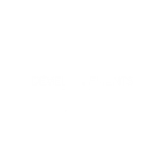 Julia Lamassourre — Sophrologue à Rennes