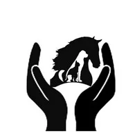 Praticienne Reiki humains-animaux Gard