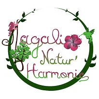 Magali Natur'Harmonie – Énergéticienne à Domessin