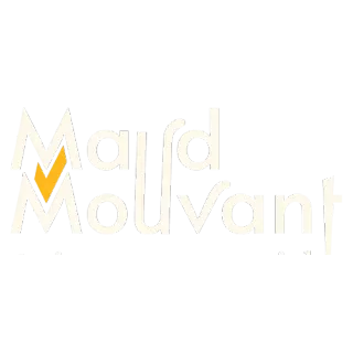 Maud Mouvant — coach en leadership à saint-étienne