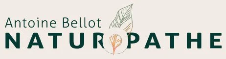 Antoine Bellot – Naturopathe à Jaunay-Marigny