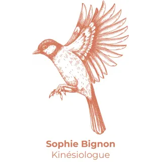 Sophie Bignon - Kinésiologue à Auch