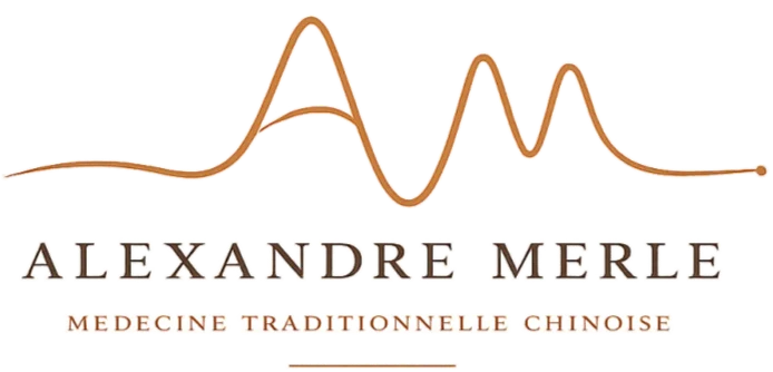 Alexandre Merle