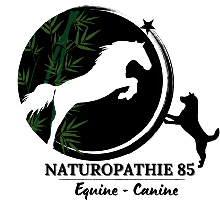 Elodie Heraud - Naturopathe à Rives-de-l'Yon