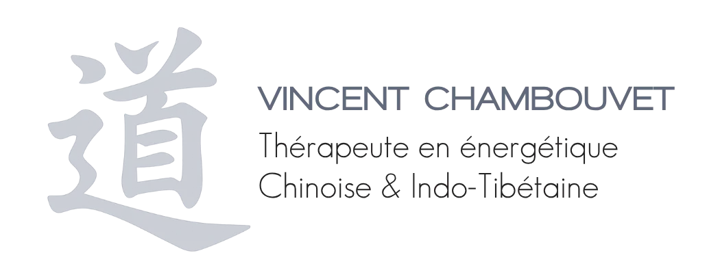 Vincent Chambouvet - Thérapeute en énergétique à Paris