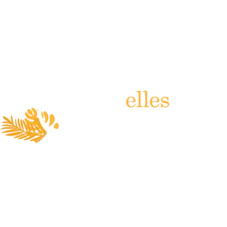 Les Nouvelles Oratrices — Formatrice en prise de parole en public à Rennes
