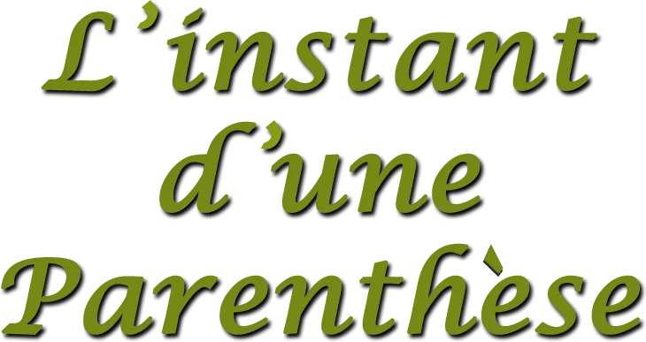 Agnès L'Instant d'une Parenthèse – Réflexologue à Cugnaux