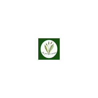 Vincent Cassagne - Phytothérapeute à Morcenx-la-Nouvelle