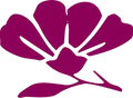 Digitale Harmonie - Shiatsu à Bury