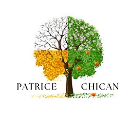 Patrice Chican - Somatothérapeute à Puygouzon