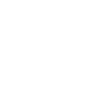 Chrysopée
