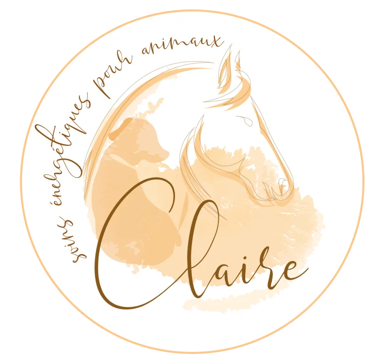 Claire Thomas - Énergéticien animalier à Saint Cricq du Gave