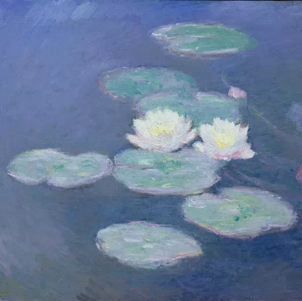 Sophrologie thérapie Paris-tarif solidaire