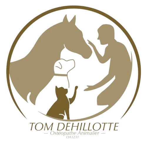 Tom Dehillotte