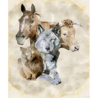 Alicia Bezard - Ostéopathe animalier à Limoges