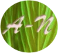 Araoteora Nature – Naturopathe à Saint-Martin-en-Bresse