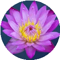Gérard Candelier – Maître Reiki à Arras
