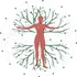 Cindie Rossignol – Thérapeute à Thusy