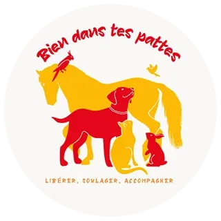 Yanne Benoist - Kinésiologue animalière à Fondettes