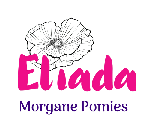 Morgane Pomies