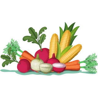 Marie Merceron — Diététicienne-nutritionniste à Nantes