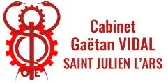 Gaëtan Vidal – Ostéopathe à Saint-Julien-l'Ars