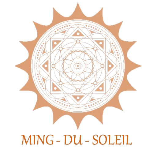 Fabien Ming-du-Soleil - Praticien en techniques chinoises à La Crèche