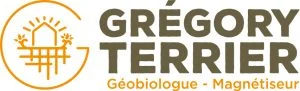 Grégory Terrier – Hypnothérapeute à Mer