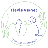 Flavie Vernet - Ostéopathe vétérinaire à Martigues