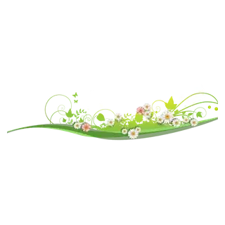 Naturopathe Iridologue Hélène TAYOL - Responsable de