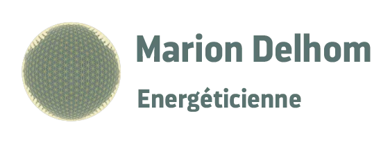 Marion Delhom – Énergéticien à Saint-Pierre-en-Faucigny
