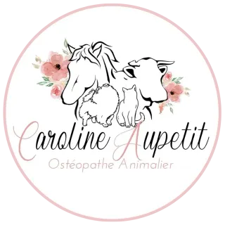 Caroline Aupetit - Ostéopathe animalier à Soumans