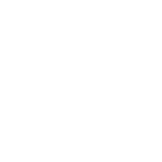 Lionel Vischi — psychopraticien EMDR à Toulouse