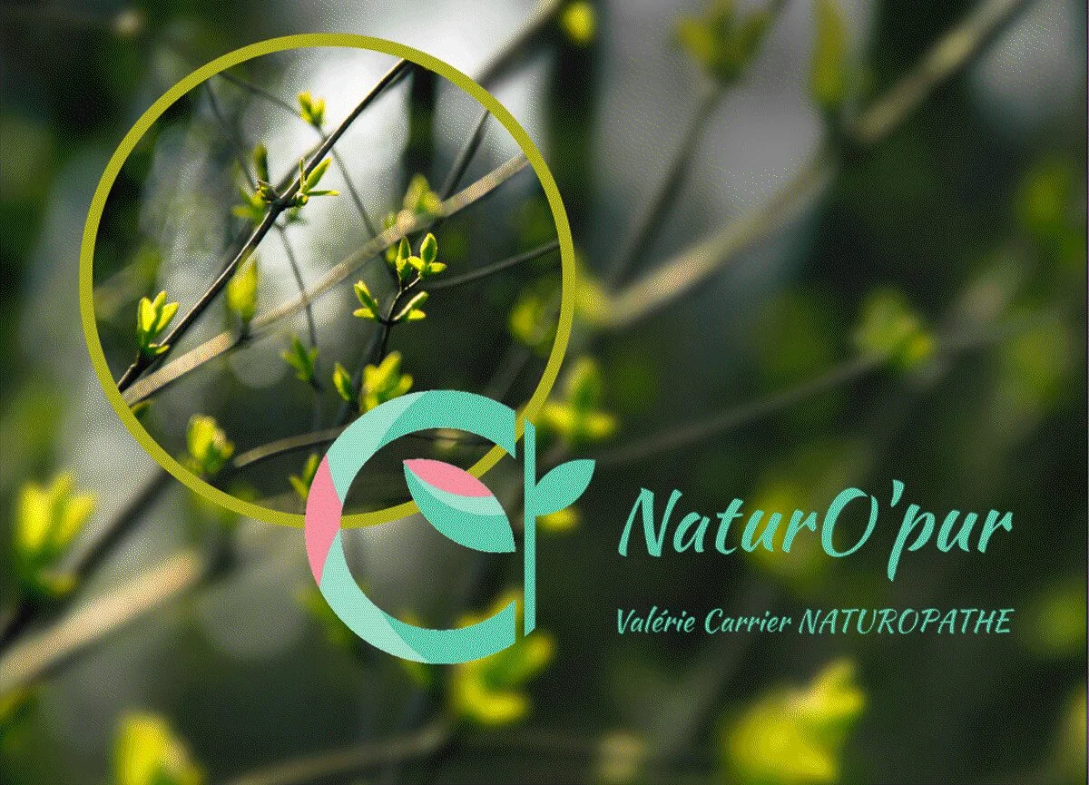Valerie Carrier — Naturopathe à Reims